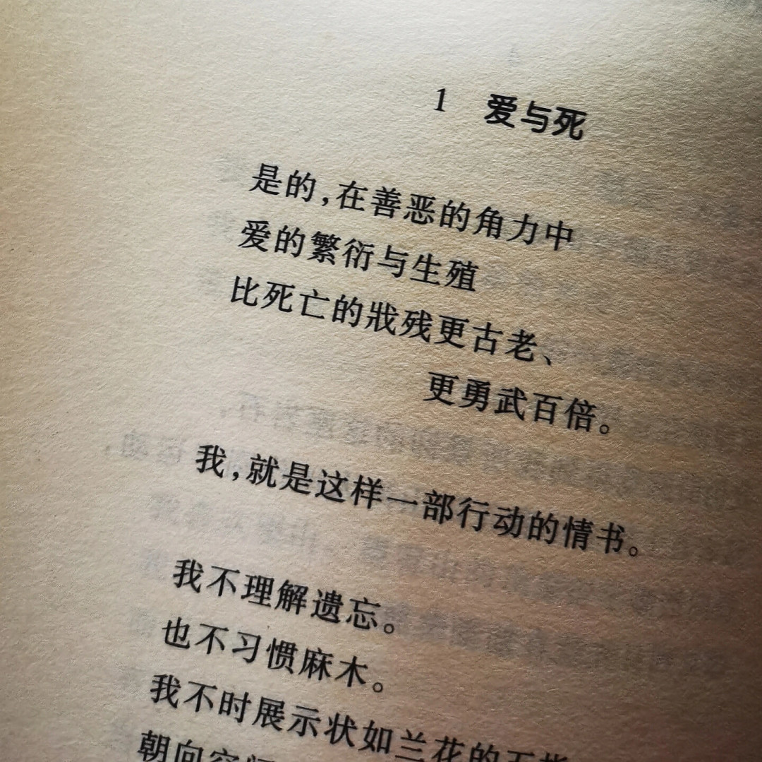 小红书9237赞的求诗集帖里没有穆旦昌耀,知乎诗圈却为“海子被高估”吵了80条评论:读完海子下一步买什么,我们挨本核了一遍