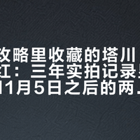 你国庆攻略里收藏的塔川，到时候还没红：三年实拍记录显示巅峰都在11月5日之后的两周，这趟皖南之行先把档期改对
