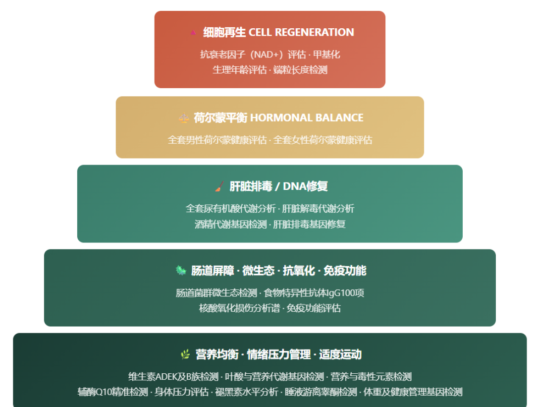 芬兰学者说测生物年龄不如量腰围？这项9年随访研究之后，几千块的「抗衰时钟」检测到底适合谁