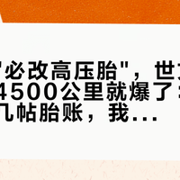 车行喊"必改高压胎"，世文One第一个4500公里就爆了：对完全网十几帖胎账，我把燕鸥该不该换胎讲清了
