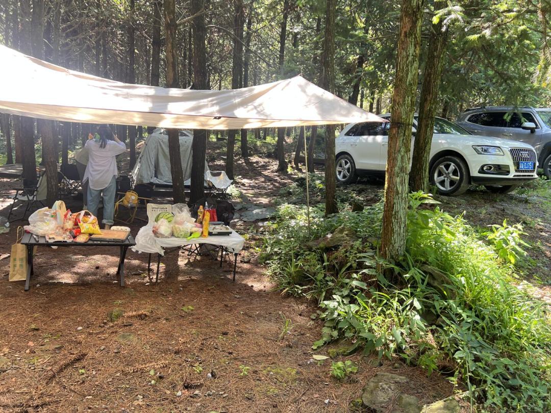 免费营地正在被一块块圈走：晴江岸、云想山吵翻之后，我把营地价格摊开成了四档