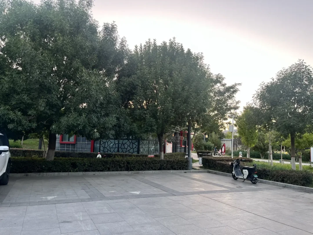 国庆床车的“吃饭派系之争”:卡式炉、外放电还是不炒菜?我把40多条热帖和消防实验数据对完了