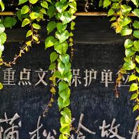 《李伯言》5天破138万播放：聊斋原著里的阴间，从来不止一种