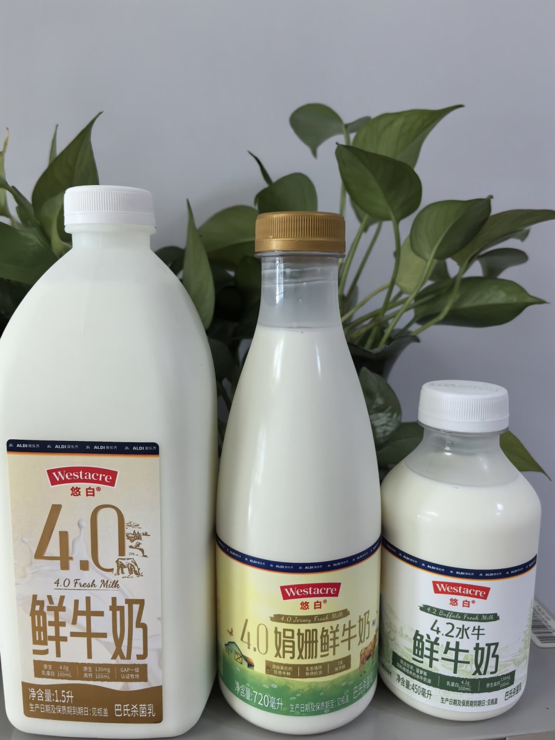 百菲把配比写进招股书、桂牛因掺假被罚、小绿瓶被扒出两个代工厂：囤