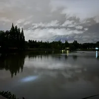 降温头两晚空军别急着收竿：冷浪时间线和你的夜钓时间对不上，11号后的晴天才轮到爆口