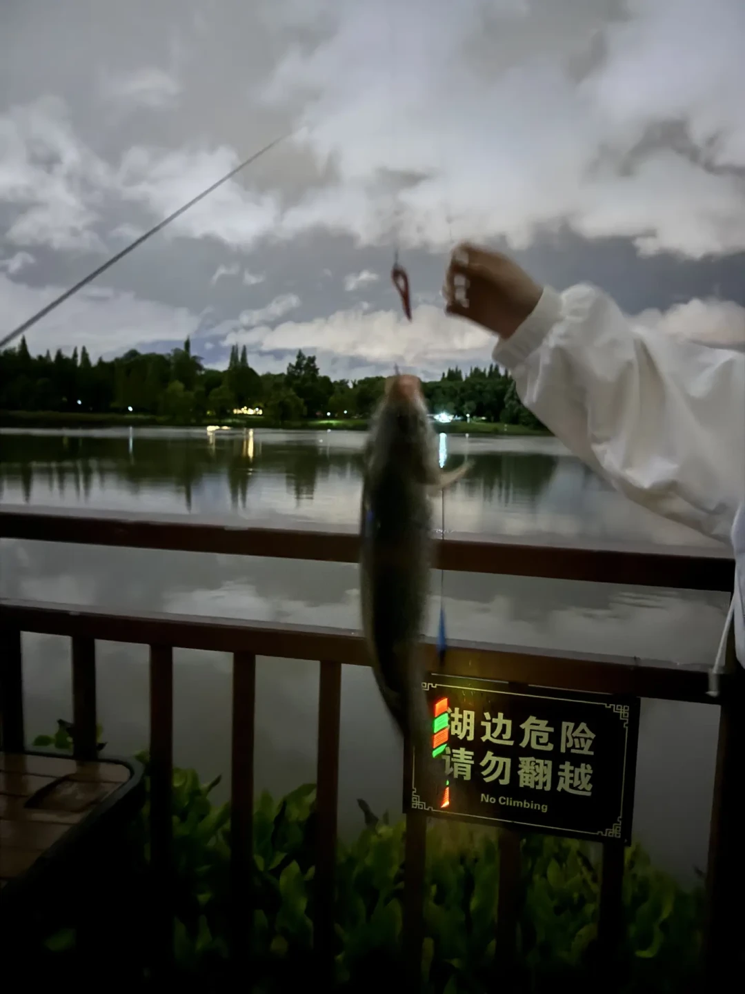 降温头两晚空军别急着收竿:冷浪时间线和你的夜钓时间对不上,11号后的晴天才轮到爆口
