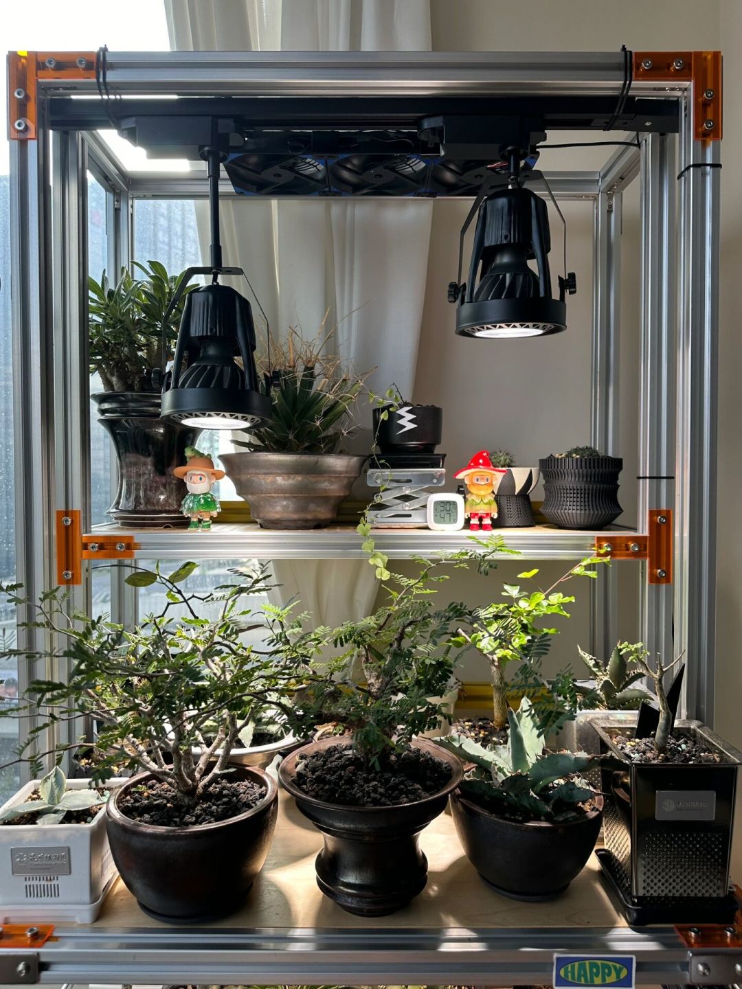 植物进屋后的最后一张账单不是温度是光：翻完这波「开了补光灯还徒长」吐槽帖和15元vs800元电费差价，我把挂多高、开几小时、谁不用买灯理清了