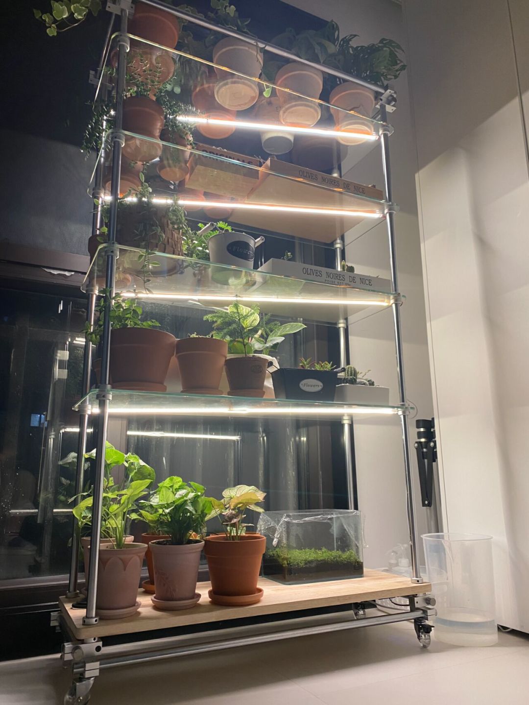植物进屋后的最后一张账单不是温度是光：翻完这波「开了补光灯还徒长」吐槽帖和15元vs800元电费差价，我把挂多高、开几小时、谁不用买灯理清了