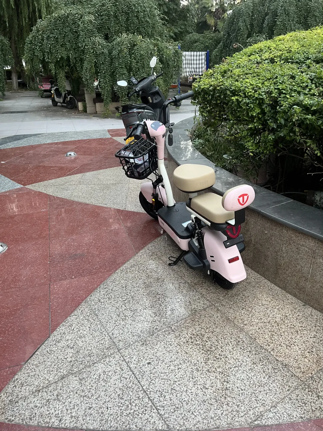 王一博夺冠刷屏后的台铃提车帖:我翻完6月以来全部亲签活动和“同款”报价,摩托姐姐买车前先把这4笔账算清