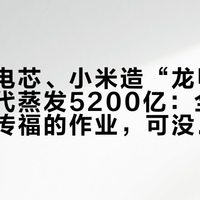 理想换电芯、小米造“龙甲”、宁德时代蒸发5200亿：全网都在抄王传福的作业，可没一个人愿意抄“重”的那一半