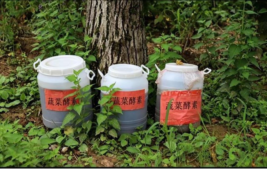 别急着用秋天的柚子皮做