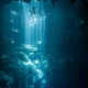 「神秘园见」，正在变成潜水溺亡的黑话