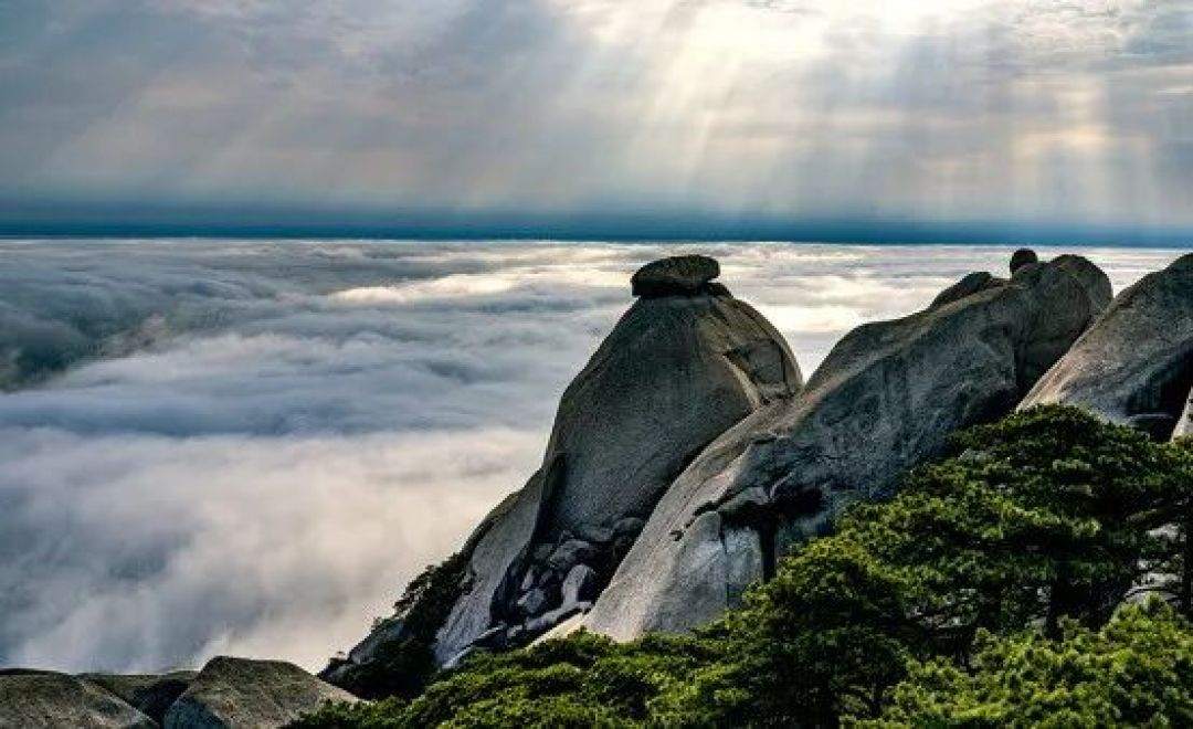 家族群那条「60岁以上全国免费」的转发,我先替你验一遍:9月solo出发的三笔账
