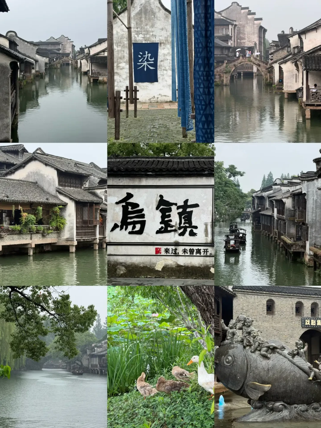 黄磊用10天把三个梗逐个认了账:做饭不专业、确实好为人师、“爹味我可太懂了”