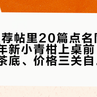 36篇推荐帖里20篇点名同一品牌：今年新小青柑上桌前，先把白霜、茶底、价格三关自己过一遍