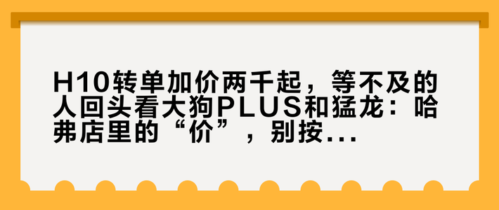 H10转单加价两千起，等不及的人回头看大狗PLUS和猛龙：哈弗店里的“价”，别按一个数字理解