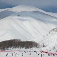 《我的阿勒泰》的人开始去阿勒泰滑雪了：先别买26-27雪季早鸟，10月中旬才开板，四个雪场分清了再动身