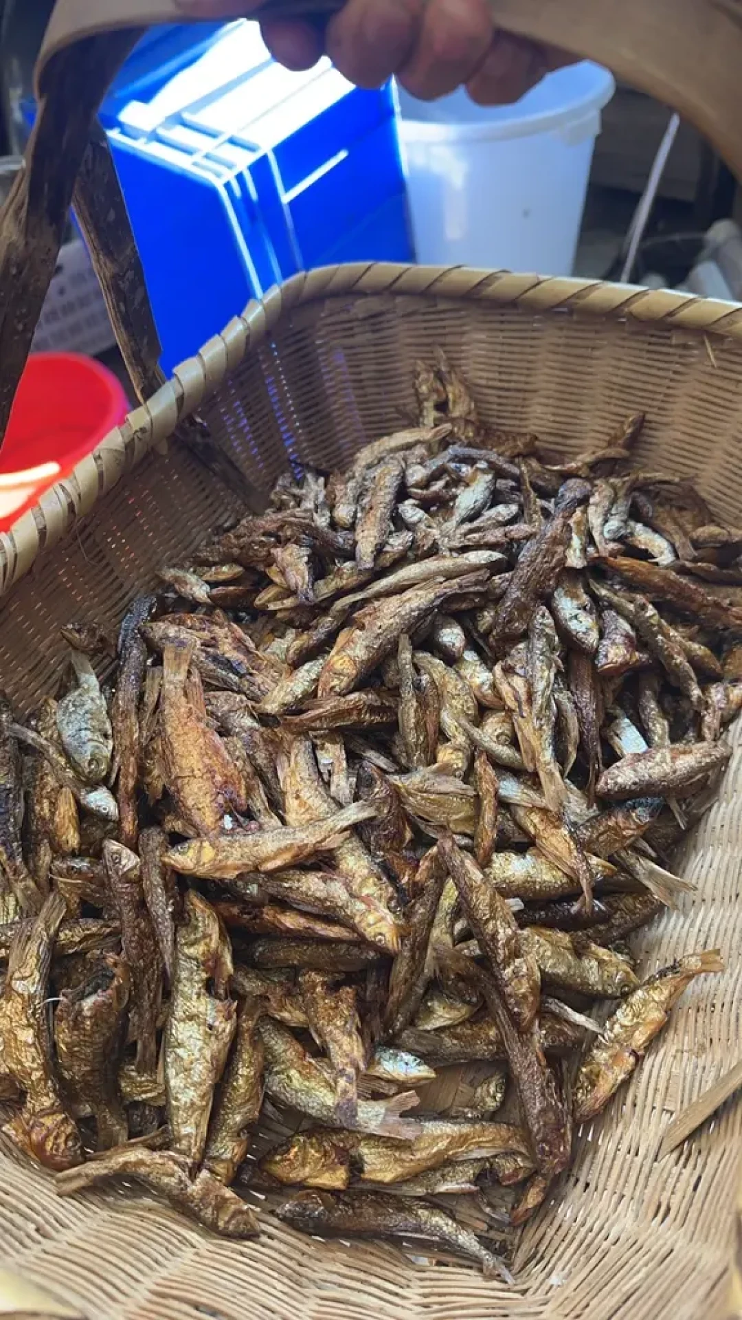 秋窗口最后几尾马口，值不值得带回家下锅：对完4个“马口”的价，40元的河鲜和7块5的海鲜摊根本不是一条鱼
