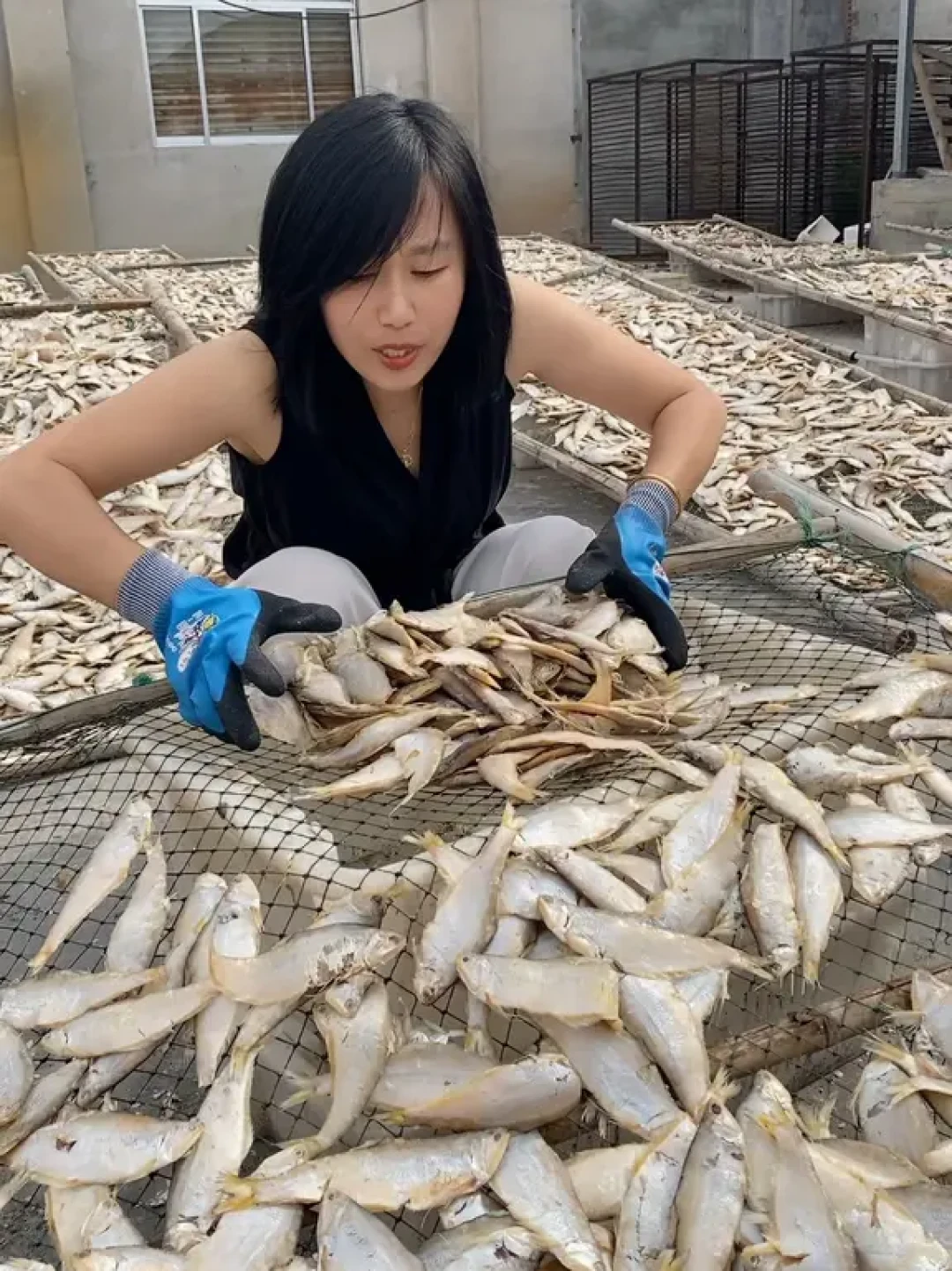 秋窗口最后几尾马口，值不值得带回家下锅：对完4个“马口”的价，40元的河鲜和7块5的海鲜摊根本不是一条鱼