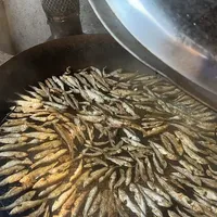 秋窗口最后几尾马口，值不值得带回家下锅：对完4个“马口”的价，40元的河鲜和7块5的海鲜摊根本不是一条鱼