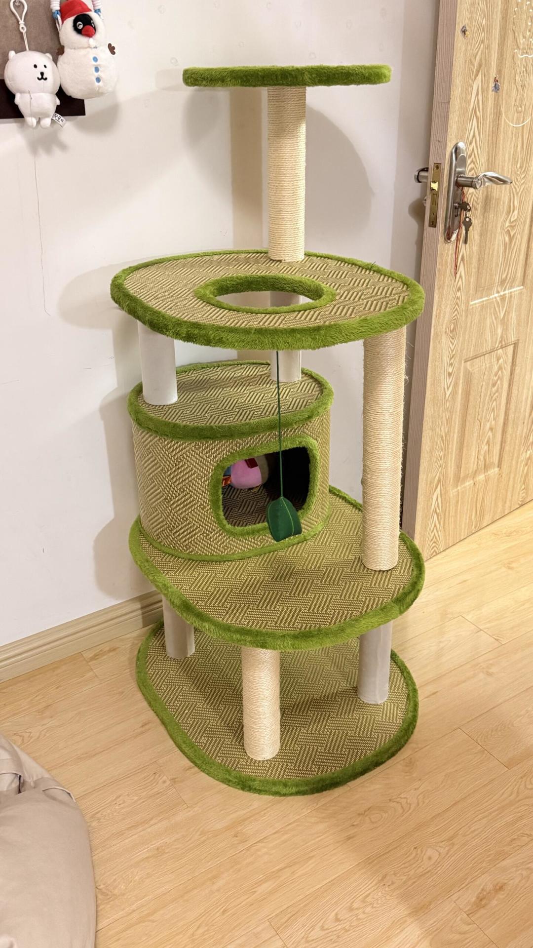 猫墙的