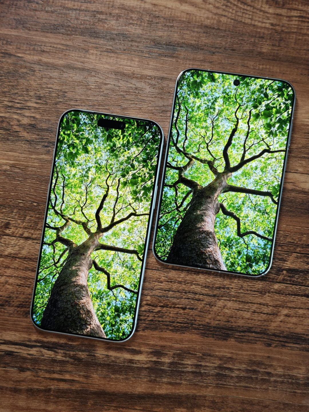 阔直板开售、iPhone Duo同夜亮相：这个