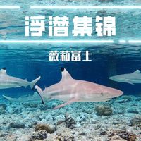 短途登岛、马代选岛 | 海岛度假9.10日报