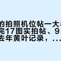雍和宫的拍照机位帖一大半是存图:对完17图实拍帖、9.9到场确认和去年黄叶记录,秋天分两趟拍、分两种花法