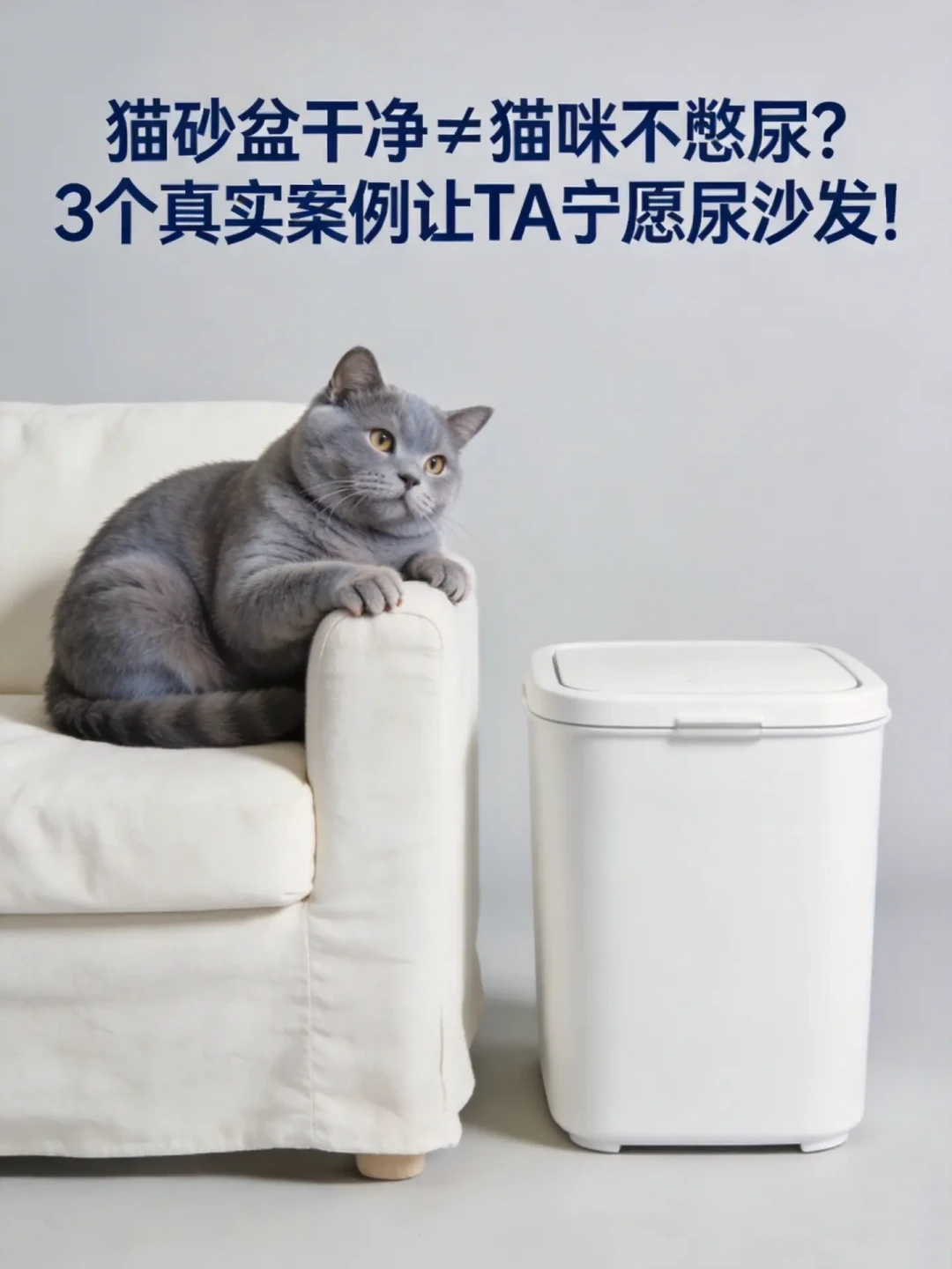 猫尿床不是报复,是报警:应激自查3个级别、信息素什么时候值得买,以及350元到8000元的尿闭账单