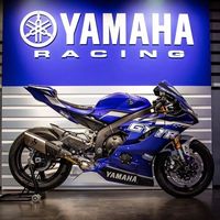 R6最后的官方订单窗口已经关了：25万库存、“涨价”传闻和13.98万的R9，谁在讲故事？