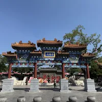 全网玩"杨洋兵王整顿贾府"梗：我把梗和原著两头核了一遍——书里想整顿纪律的人，下场更不好看