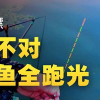 秋钓选位与路亚避坑 | 钓鱼9.10日报