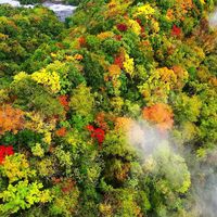 请3休13也买不到川西的彩林巅峰：对完4张时间表和去年10月8条实拍帖，国庆进山的叶子大多只黄了一半