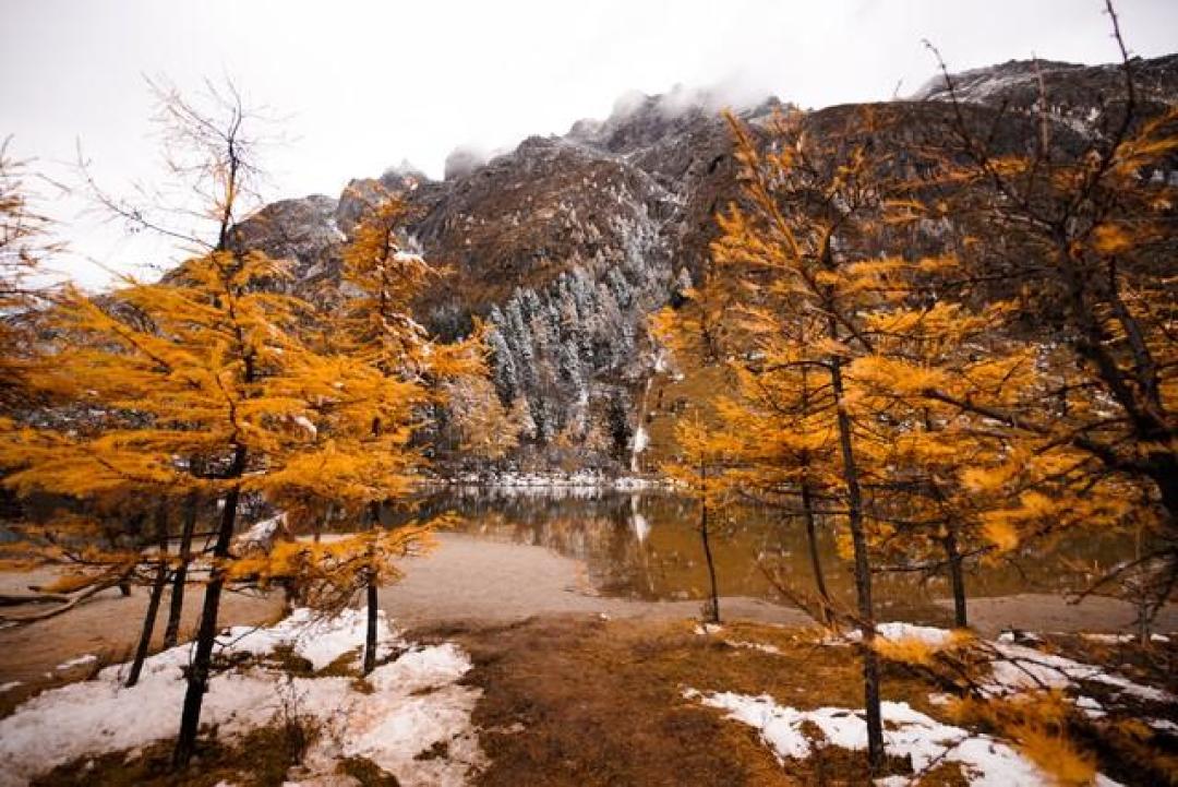 请3休13也买不到川西的彩林巅峰:对完4张时间表和去年10月8条实拍帖,国庆进山的叶子大多只黄了一半