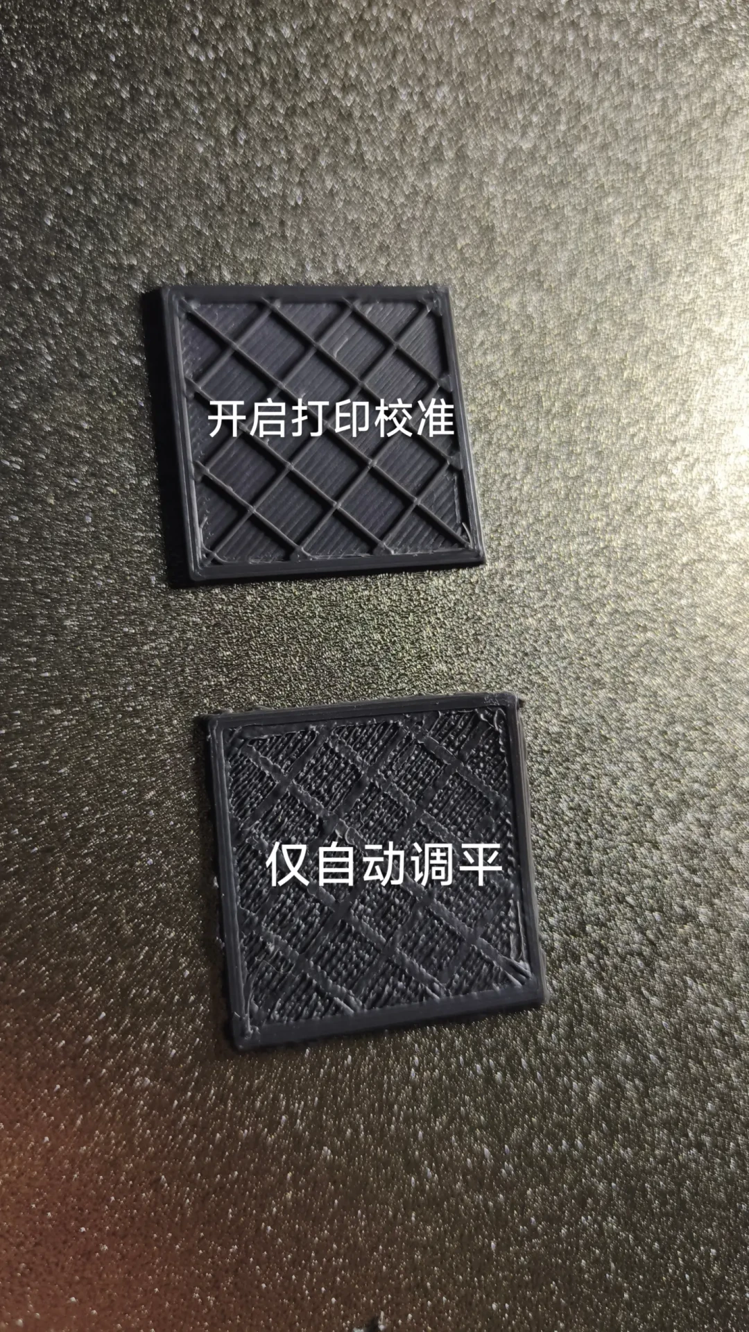 拓竹的