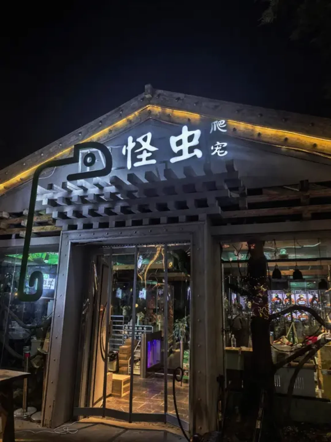 成都异宠展明天开馆:上手盘蛇前,先看鼻尖和尾巴——这份爬宠馆进场判断图,先搞懂再掏门票