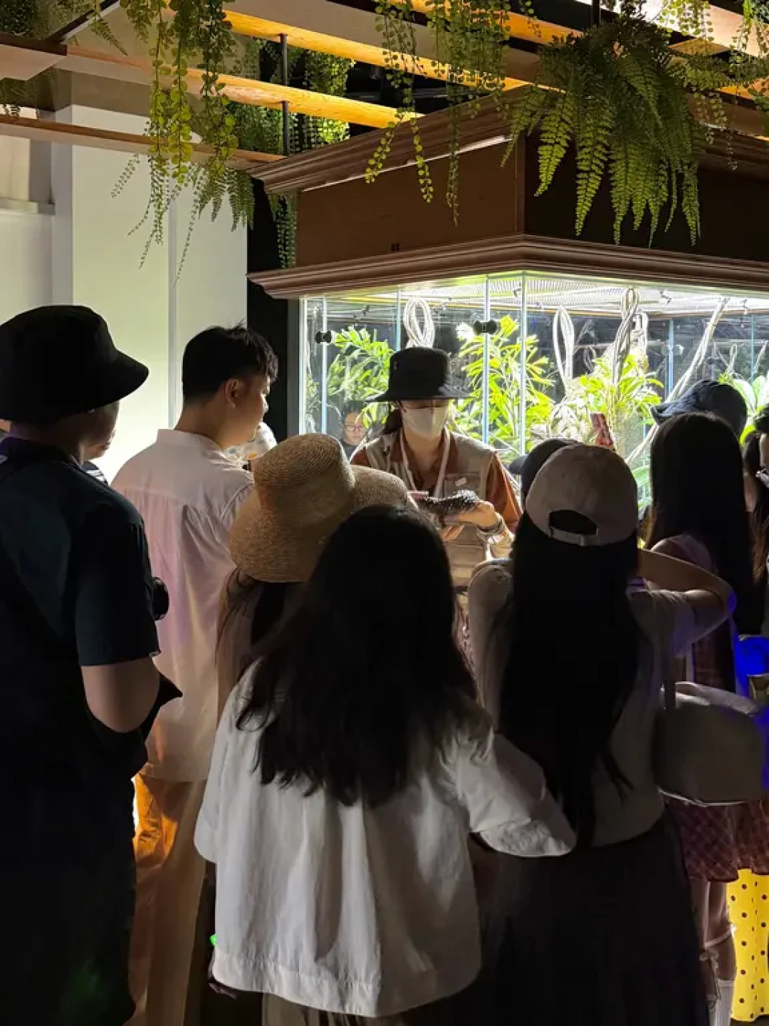 成都异宠展明天开馆:上手盘蛇前,先看鼻尖和尾巴——这份爬宠馆进场判断图,先搞懂再掏门票