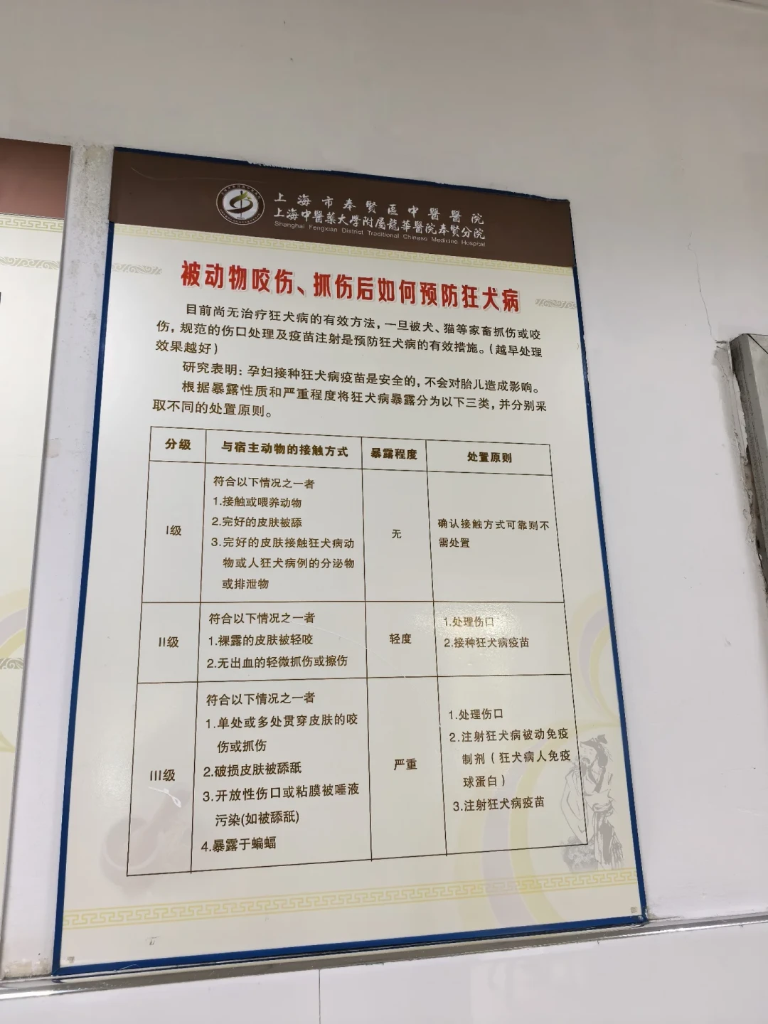 被校园猫抓了,先别只问