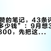 一条11赞的笔记，43条评论全在问“多少钱”：9月想3万出头拿海马300，先把这几层底摸清楚