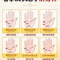 标题：看掌纹状态了解身体