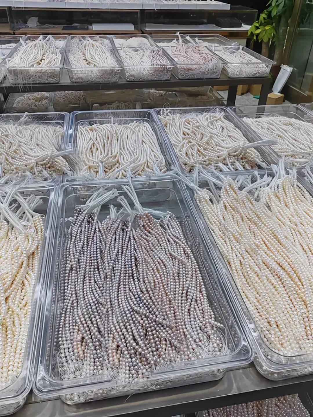 600元买的akoya是染色的，4000赞的开蚌帖是游戏：买第一颗珍珠前，先算清这三本账
