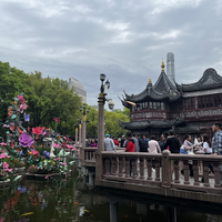 带父母来上海3天怎么排？少走一点，也能把经典景点看够