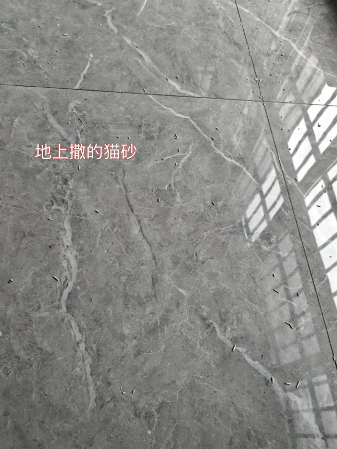 扫拖一体机