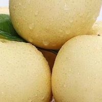 梨的药用价值与养生功效解析