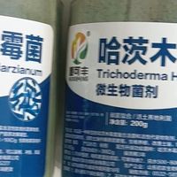 碳菌整合生根养根从白根爆发到根系健壮