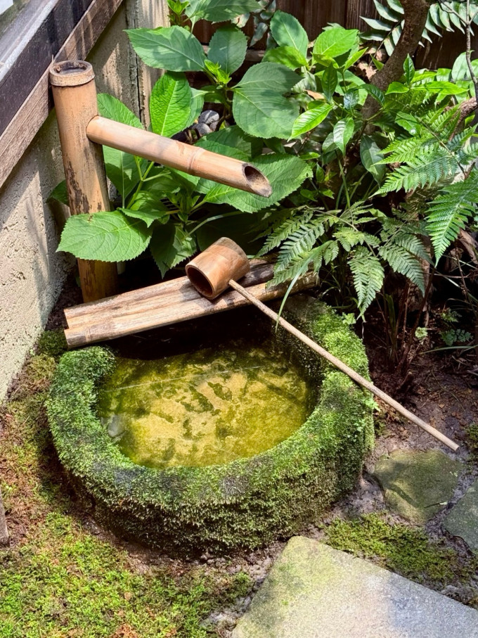 餐饮美食