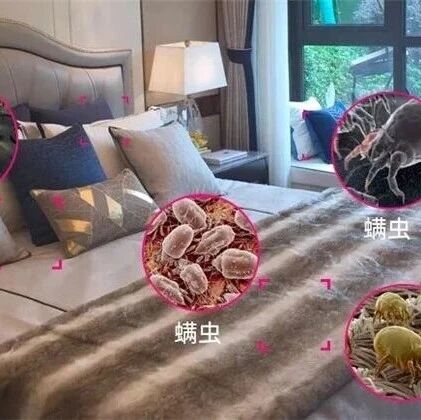 除螨喷雾剂是智商税吗？有必要用吗？聊聊螨虫的危害，深度解析仙贝宁真实作用