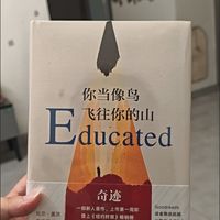 你当像鸟飞往你的山，教育重塑自我与认知突围之路
