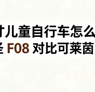 16寸儿童自行车怎么选？萌大圣 F08 对比可莱茵 CK08