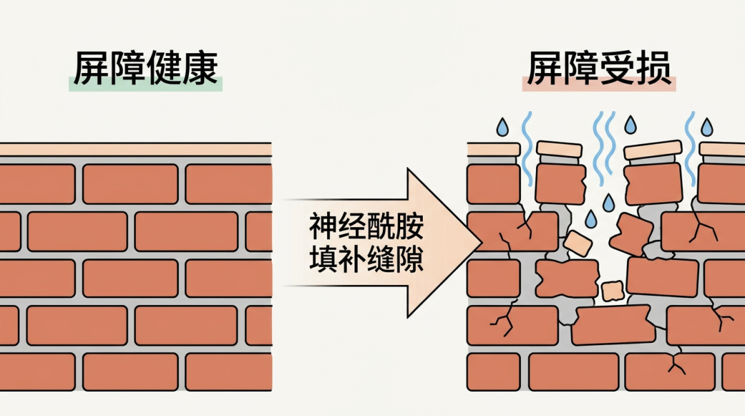 减重针刚打完价格战,医院开的面霜、械字号,又来了